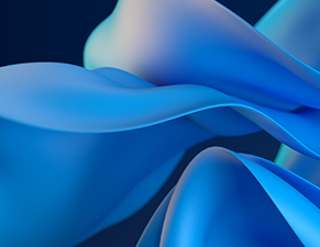 Presentazioni Istituzionali