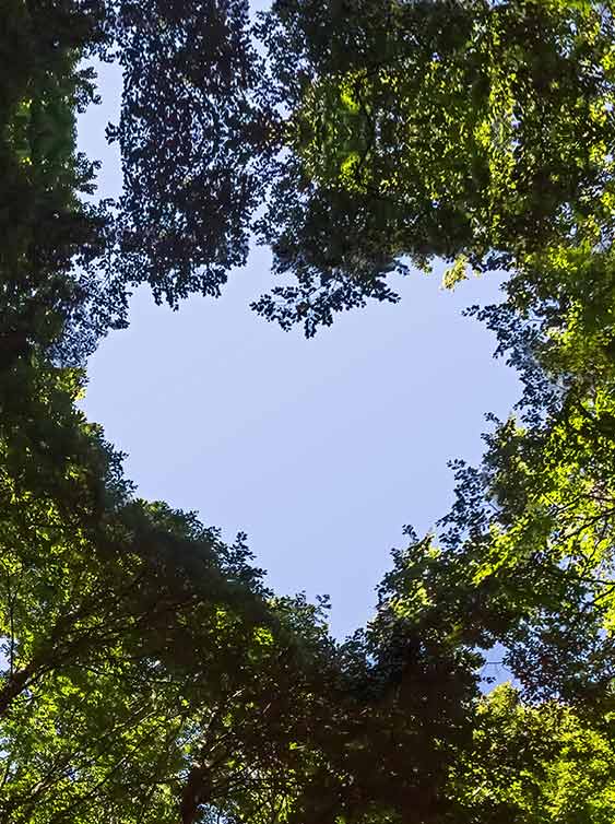 Sustainable consumption