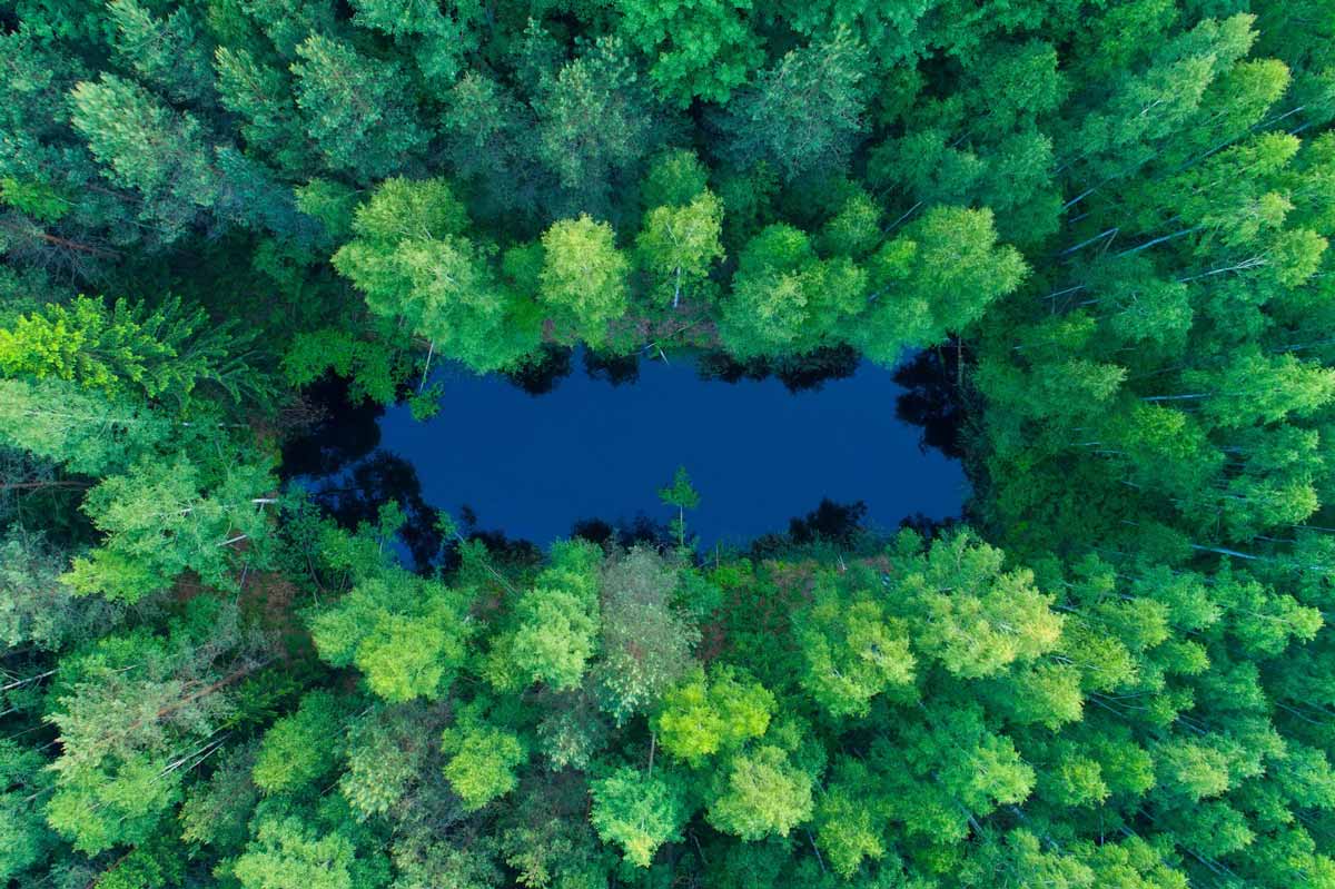 Zero Impact Web Zero Impact Web